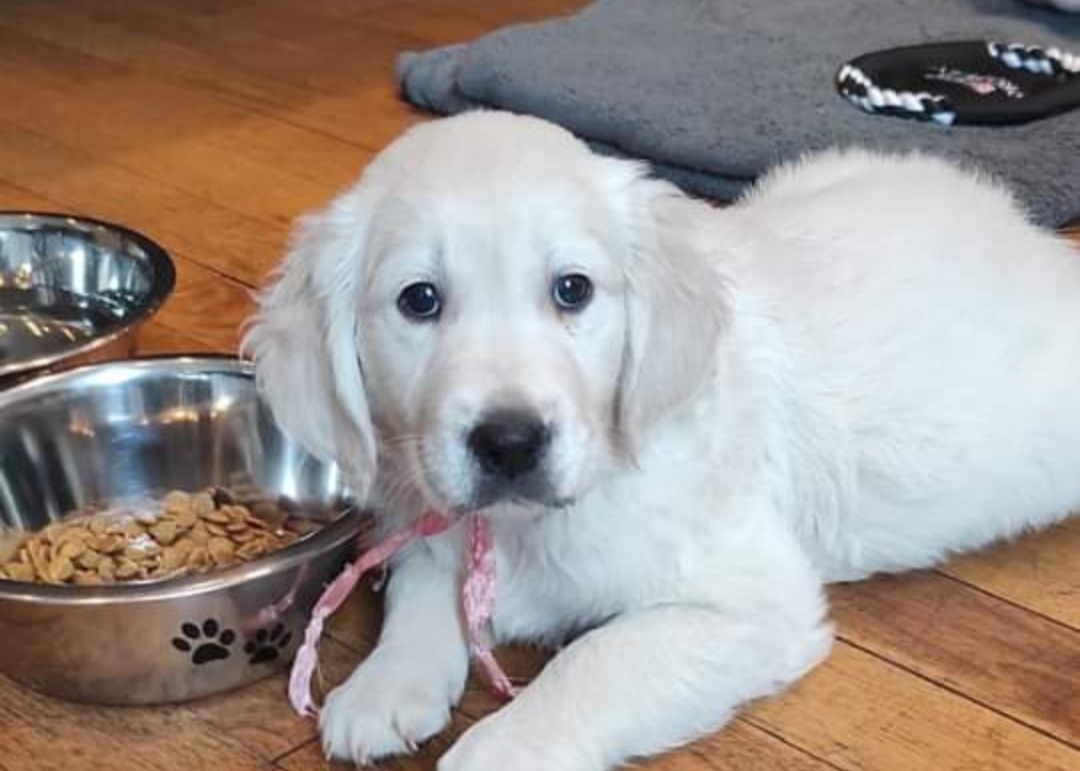 Screenshot 2024 10 17 19 47 33 779 com.facebook.katana