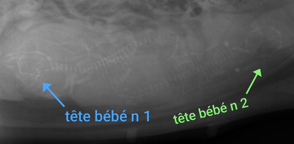 Img 20251107 192433