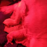 Img 20251122 085656