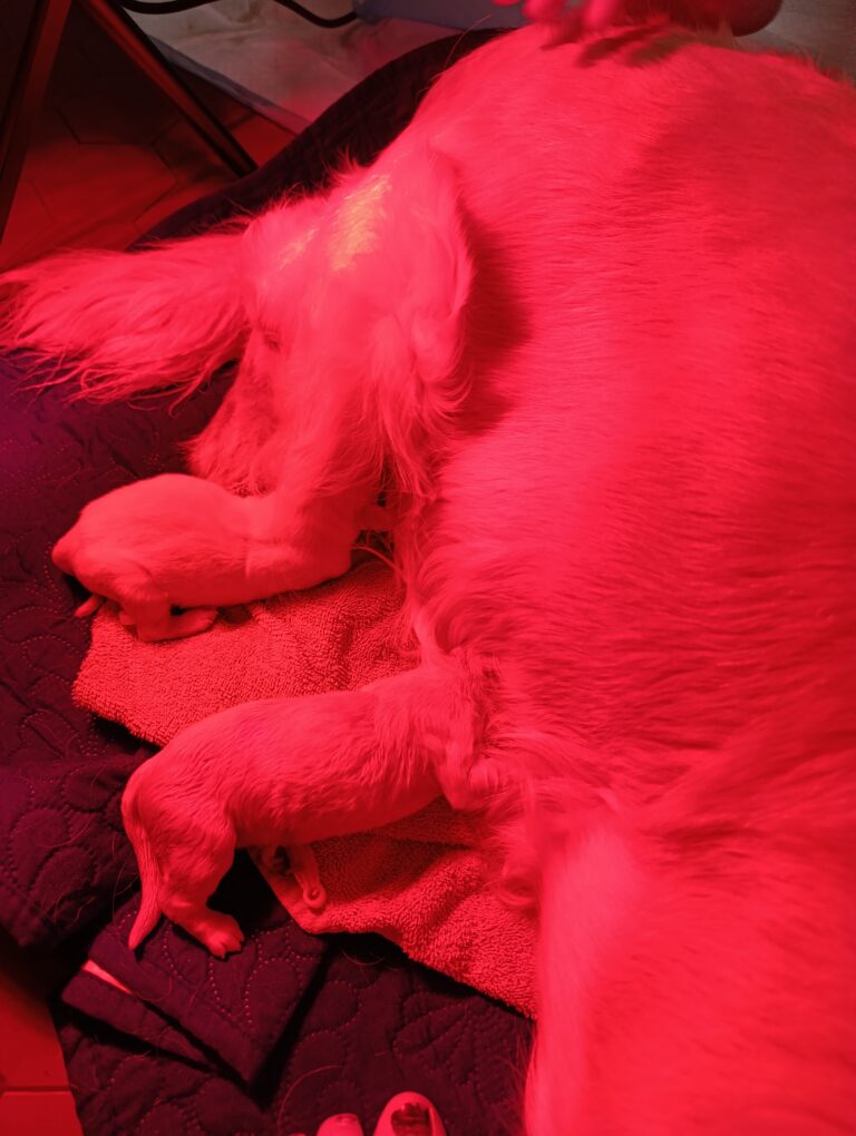 Img 20251122 085656