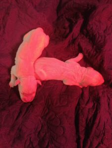 Img 20251122 112611