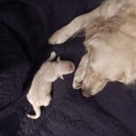 Img 20251123 194754