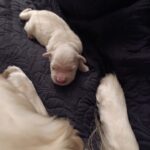 Img 20251123 194811
