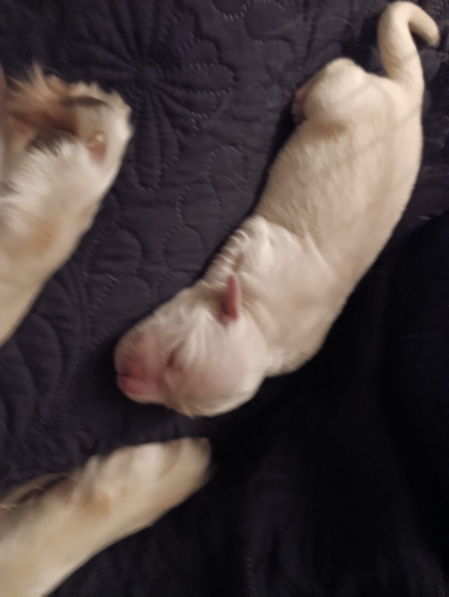 Img 20251123 194831