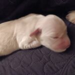 Img 20251123 194836
