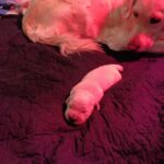 Img 20251126 131224
